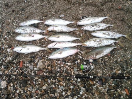 ジャイアントドックX